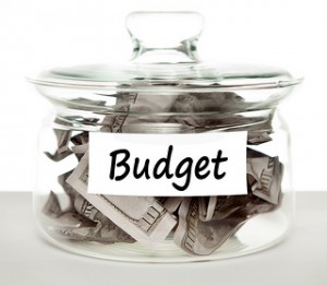 budget, no spend january